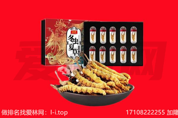 达州市渠县回收虫草.jpg
